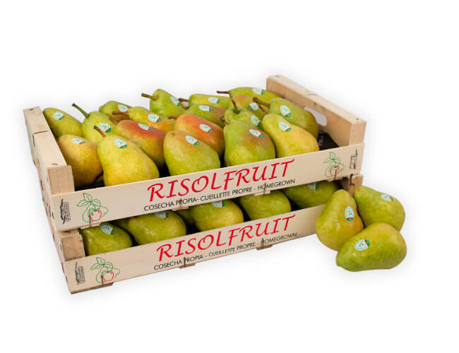 fruta-fruit-lleida-cosecha-propia-exportacion-ue